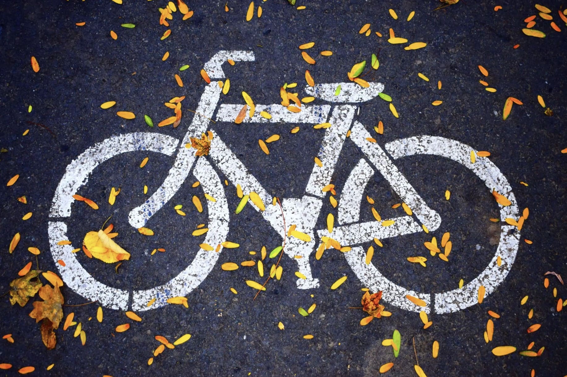 bicycle logo